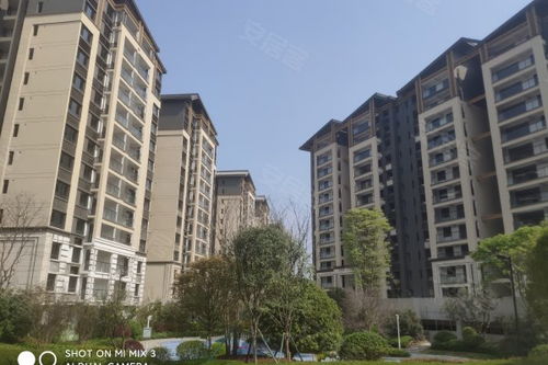 漓江悅府評(píng)測(cè) 優(yōu)劣勢(shì)分析與周邊中介服務(wù)觀(guān)察