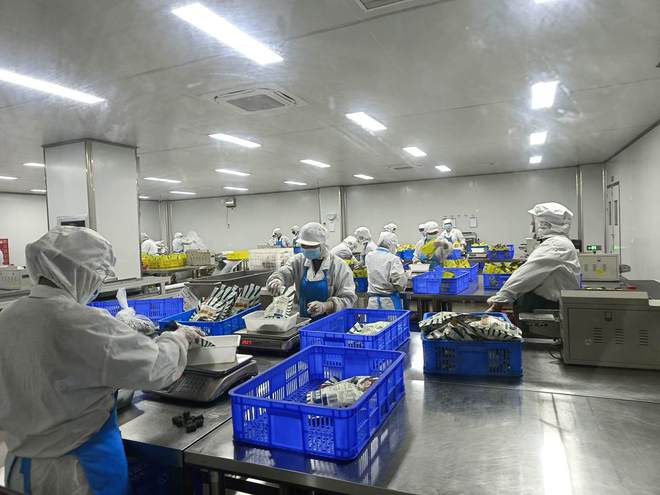 臨安區(qū)每果時光食品線上銷售火爆 互聯(lián)網(wǎng)賦能傳統(tǒng)食品行業(yè)煥發(fā)新生機